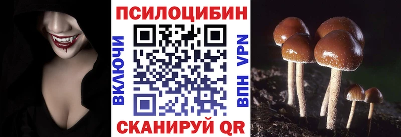 мориарти наркотические препараты  Березники  Псилоцибиновые грибы мицелий  цена наркотик 
