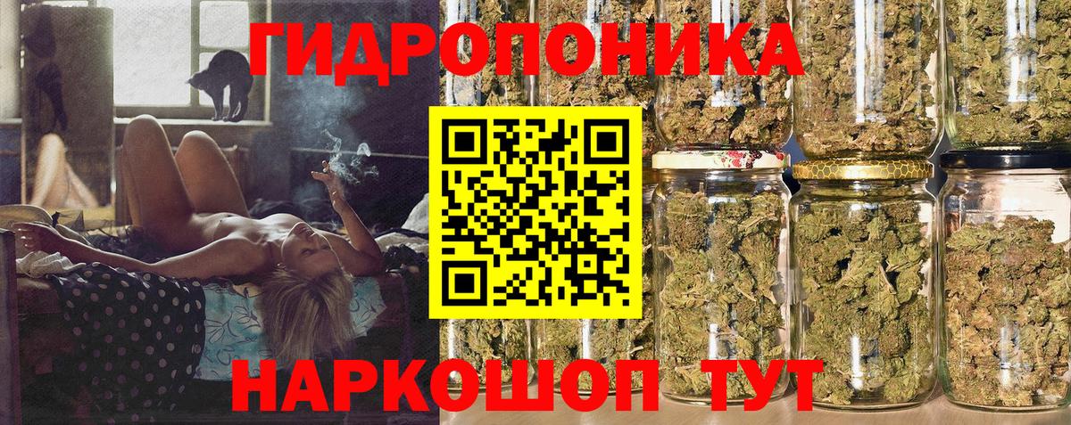 Бошки марихуана планчик Березники